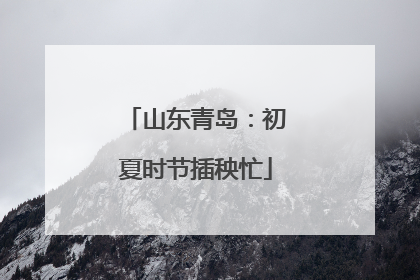 山东青岛：初夏时节插秧忙