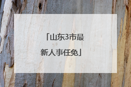 山东3市最新人事任免