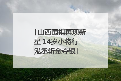 山西围棋再现新星 14岁小将行泓丞斩金夺银