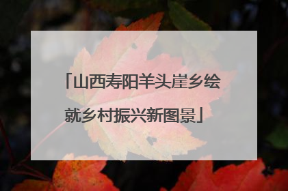 山西寿阳羊头崖乡绘就乡村振兴新图景