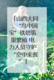 山西大同：“鸟中国宝”铁塔筑巢繁殖 电力人员守护“空中来客”