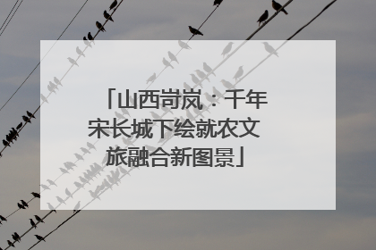 山西岢岚：千年宋长城下绘就农文旅融合新图景