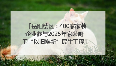 岳阳楼区：400家家装企业参与2025年家装厨卫“以旧换新”民生工程