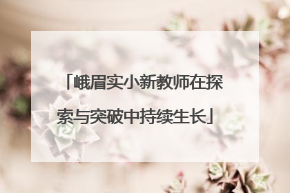 峨眉实小新教师在探索与突破中持续生长