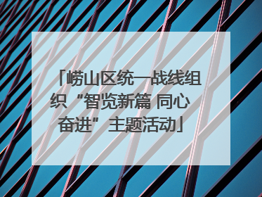 崂山区统一战线组织“智览新篇 同心奋进”主题活动
