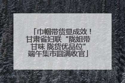 巾帼带货显成效！甘肃省妇联“陇姐带甘味 陇货优品位”端午集市圆满收官