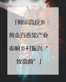 师宗高良乡：黄金百香果产业奏响乡村振兴“致富曲”