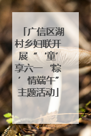 广信区湖村乡妇联开展“‘童’享六一‘粽’情端午”主题活动