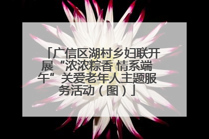 广信区湖村乡妇联开展“浓浓粽香 情系端午”关爱老年人主题服务活动（图）