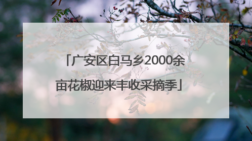 广安区白马乡2000余亩花椒迎来丰收采摘季