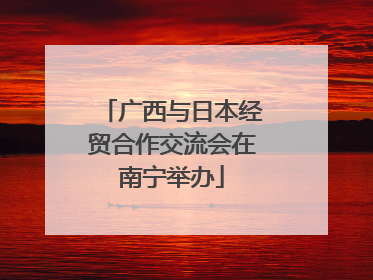广西与日本经贸合作交流会在南宁举办