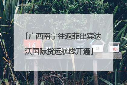 广西南宁往返菲律宾达沃国际货运航线开通