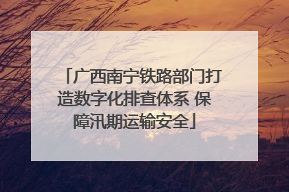 广西南宁铁路部门打造数字化排查体系 保障汛期运输安全