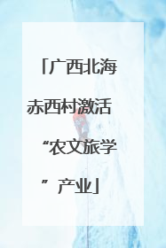 广西北海赤西村激活“农文旅学”产业