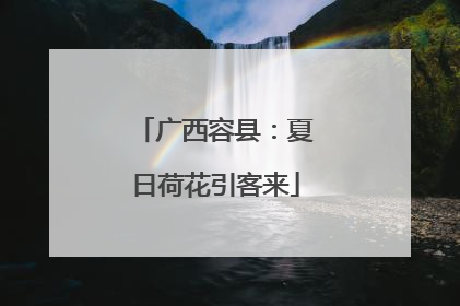 广西容县：夏日荷花引客来
