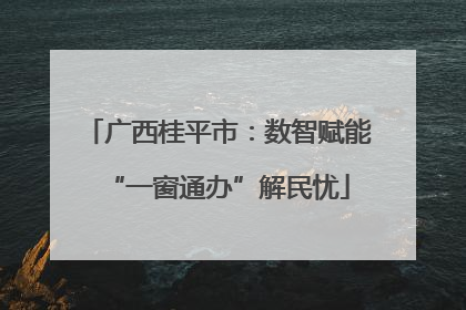 广西桂平市：数智赋能“一窗通办”解民忧