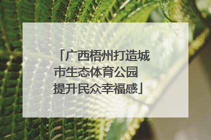 广西梧州打造城市生态体育公园 提升民众幸福感