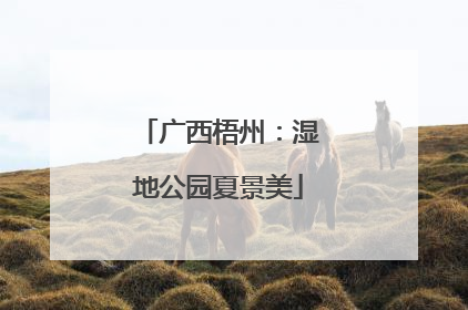 广西梧州：湿地公园夏景美