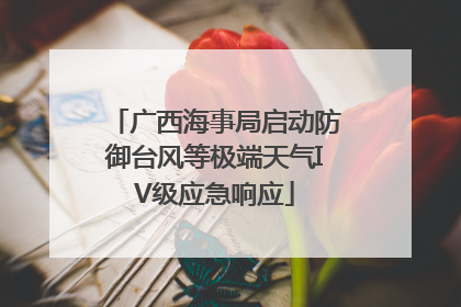 广西海事局启动防御台风等极端天气IV级应急响应