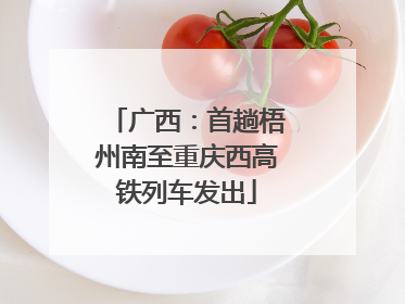 广西：首趟梧州南至重庆西高铁列车发出