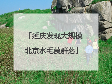 延庆发现大规模北京水毛茛群落