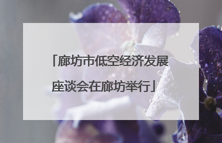 廊坊市低空经济发展座谈会在廊坊举行