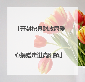 开封杞县财政局爱心捐赠走进高阳镇