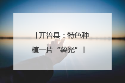 开鲁县：特色种植一片“薯光”