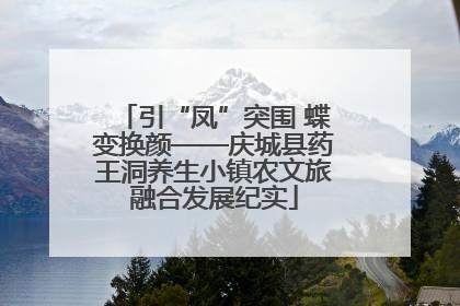引“凤”突围 蝶变换颜——庆城县药王洞养生小镇农文旅融合发展纪实