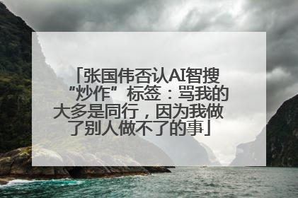 张国伟否认AI智搜“炒作”标签：骂我的大多是同行，因为我做了别人做不了的事