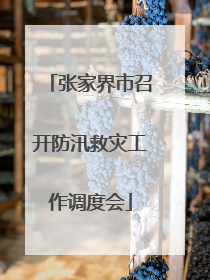 张家界市召开防汛救灾工作调度会
