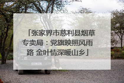 张家界市慈利县烟草专卖局：党旗映照风雨路 金叶情深暖山乡
