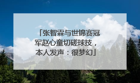 张智霖与世锦赛冠军赵心童切磋球技，本人发声：很梦幻