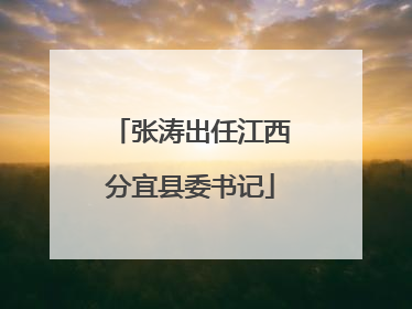 张涛出任江西分宜县委书记