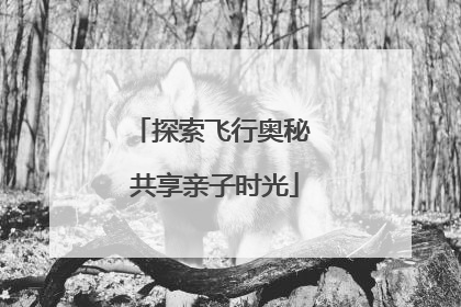 探索飞行奥秘 共享亲子时光