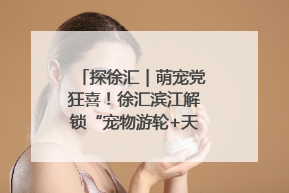探徐汇｜萌宠党狂喜！徐汇滨江解锁“宠物游轮+天台乐园”双玩法