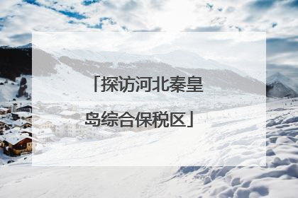 探访河北秦皇岛综合保税区