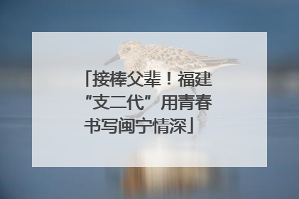 接棒父辈！福建“支二代”用青春书写闽宁情深