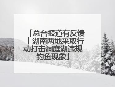 总台报道有反馈丨湖南两地采取行动打击洞庭湖违规钓鱼现象