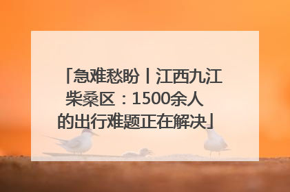 急难愁盼丨江西九江柴桑区：1500余人的出行难题正在解决