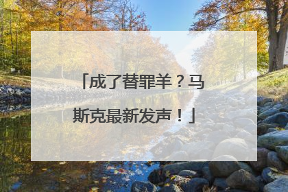 成了替罪羊？马斯克最新发声！