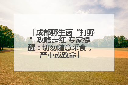 成都野生菌“打野”攻略走红 专家提醒：切勿随意采食，严重或致命
