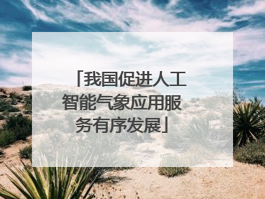 我国促进人工智能气象应用服务有序发展