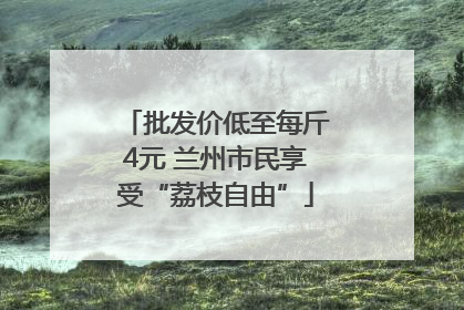 批发价低至每斤4元 兰州市民享受“荔枝自由”