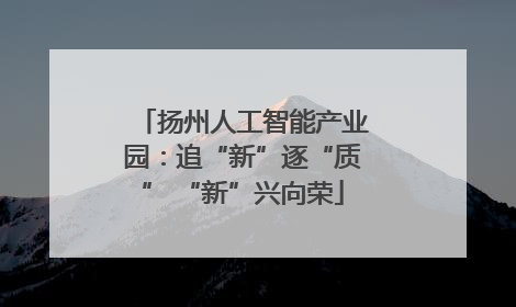 扬州人工智能产业园：追“新”逐“质” “新”兴向荣