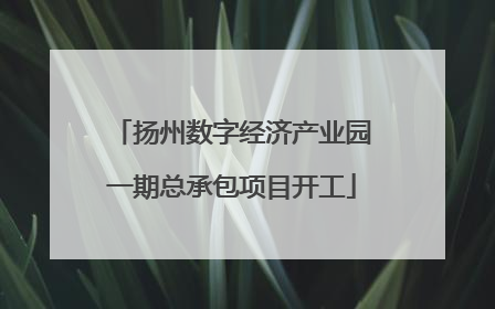 扬州数字经济产业园一期总承包项目开工