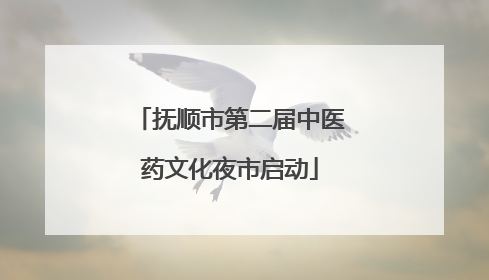 抚顺市第二届中医药文化夜市启动