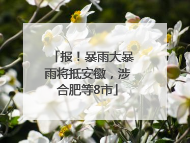 报！暴雨大暴雨将抵安徽，涉合肥等8市