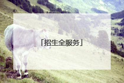 招生全服务