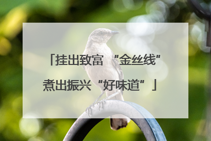 挂出致富 “金丝线” 煮出振兴“好味道”
